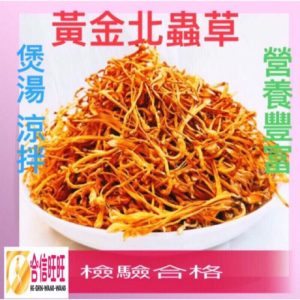【合信旺旺】黃金北蟲草