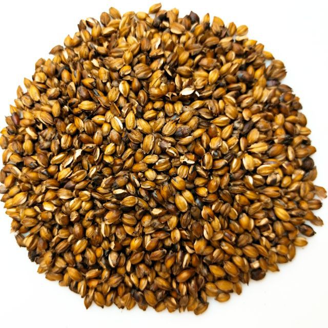 【合信旺旺】炒麥茶600g/清泡.冷涼.為最佳的消暑飲料:圖片 2