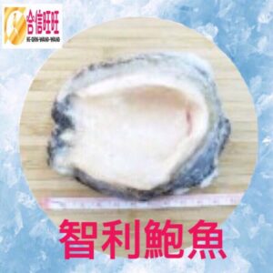 【合信旺旺】智利冷涷鮮鮑魚600g/智利鮑魚
