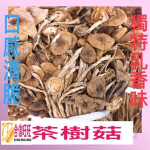 【合信旺旺】茶樹菇300克/口感清脆 獨特乳香味